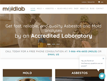 Tablet Screenshot of moldlab.com